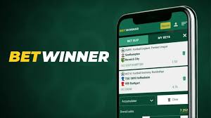 Bets at BetWinner France Your Guide to Winning Strategies